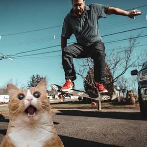 Meet your Posher, Patrick